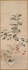 Summer Flowers by Kitagawa Sōsetsu (Japanese, active 1639–50)