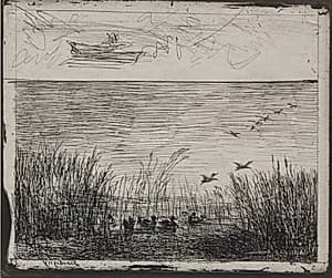 Swamp with Ducks by Charles François Daubigny (French, 1817–1878)