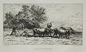 Team of Oxen by Charles-Émile Jacque (French, 1813–1894)