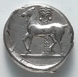Tetradrachm: Horse (reverse) by Unknown Artist