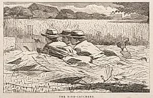The Bird Catchers by Winslow Homer (American, 1836–1910)