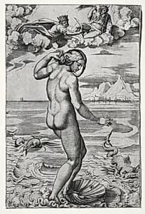 The Birth of Venus  by Marco Dente (Italian, c. 1486–1527)