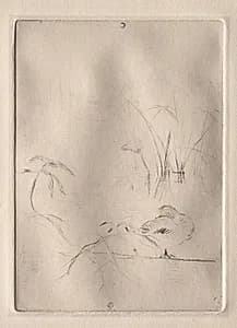 The Duck by Berthe Morisot (French, 1841–1895)