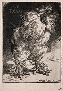 The French Cock by Félix Bracquemond (French, 1833–1914)