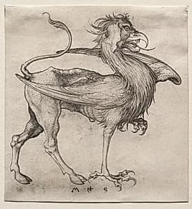 The Griffin by Martin Schongauer (German, c. 1450–1491)