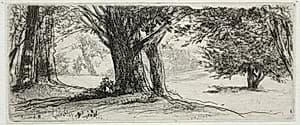 The Holly Field by Francis Seymour Haden (British, 1818–1910)