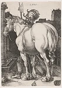 The Large Horse by Albrecht Dürer (German, 1471–1528)