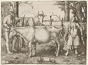 The Milkmaid by Lucas van Leyden (Dutch, 1494–1533)