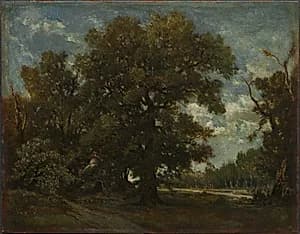The Oak Tree by Théodore Rousseau (French, 1812–1867)