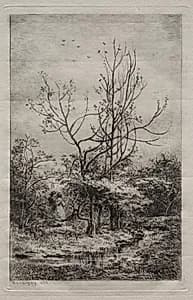 The Orchard by Charles François Daubigny (French, 1817–1878)