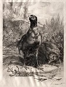 The Pheasants by Félix Bracquemond (French, 1833–1914)