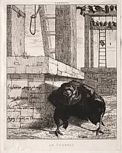 The Raven by Félix Bracquemond (French, 1833–1914)