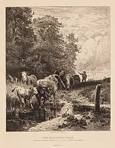 The Returning Herd by Peter Moran (American, 1841–1914)