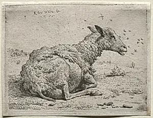 The Sheep and the Flies by Karel Dujardin (Dutch, c. 1622–1678)