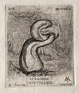 The Sickly Cryptogam by Charles Meryon (French, 1821–1868)