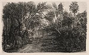 The Stream by Rodolphe Bresdin (French, 1822–1885)