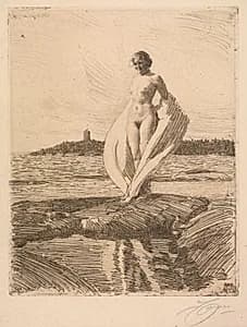 The Swan by Anders Zorn (Swedish, 1860–1920)