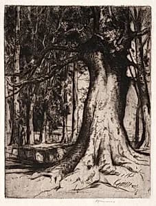 The Sycamore by David Young Cameron (British, 1865–1945)