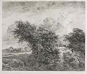 The Thicket by Charles François Daubigny (French, 1817–1878)