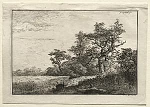 The Wheat Field by Jacob van Ruisdael (Dutch, 1628/29–1682)