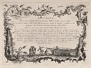 Title and Dedication Page by Filippo Morghen (Italian, 1730–after 1807)