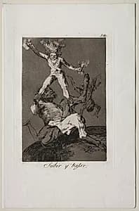 To Rise and to Fall, Plate 56 by Francisco de Goya (Spanish, 1746–1828)