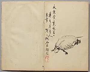 Tortoise from Sketch Album by Kawanabe Kyōsai (Japanese, 1831–1889)