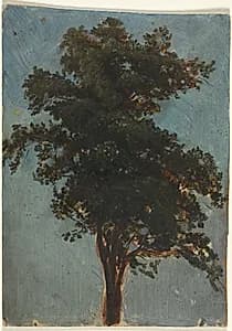 Tree Study by Alexandre Calame (Swiss, 1810–1864)