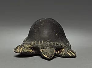 Turtle by Unknown Artist