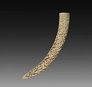 Tusk by Unknown Artist