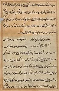 Tuti-Nama (Tales of a Parrot) by Unknown Artist