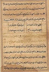 Tuti-Nama (Tales of a Parrot) by Unknown Artist