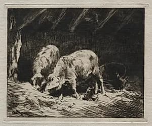 Two Pigs by Charles-Émile Jacque (French, 1813–1894)