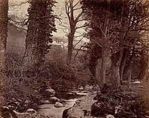 Untitled by John Lloyd (British, 1865)
