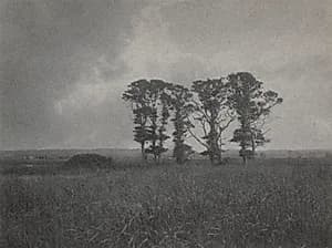 Untitled by William J. Mullins (American, 1860–1917)