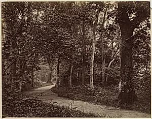 Untitled (Landscape) by Unknown Artist
