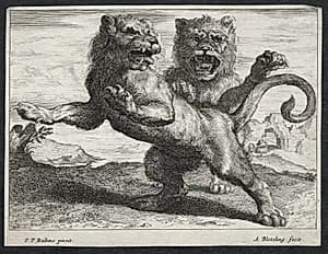 Various Lions by Abraham Blooteling (Dutch, 1640–1690)