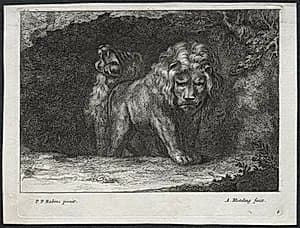 Various Lions by Abraham Blooteling (Dutch, 1640–1690)