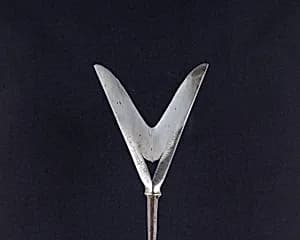 Arrowhead (<i>Yanone</i>) by Unknown Artist