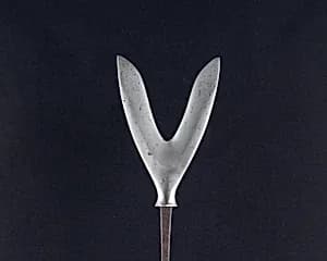 Arrowhead (<i>Yanone</i>) by Unknown Artist