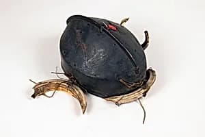 Helmet by Unknown Artist