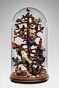 Aviary by Unknown Artist