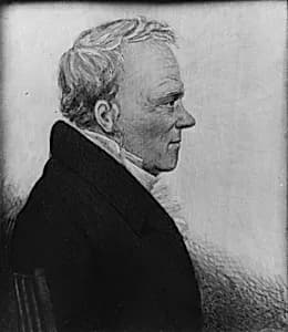 Portrait of a Gentleman by Unknown Artist