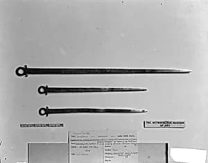 Skewer by John Letelier Sr.