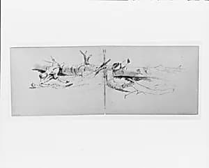 Study of a Fallen Tree (from sketchbook)