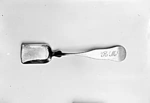 Sugar Shovel by H. M. Nichols