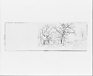 Tree Sketch (from Sketchbook VII) by William Trost Richards