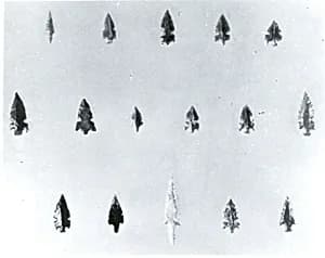 Arrowhead by Unknown Artist