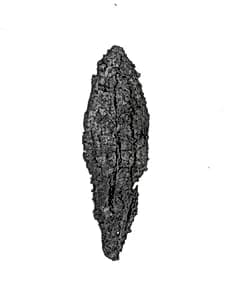 Arrowhead by Unknown Artist
