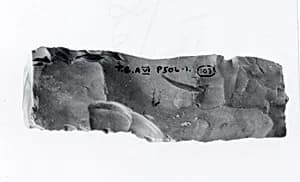 Chisel by Unknown Artist
